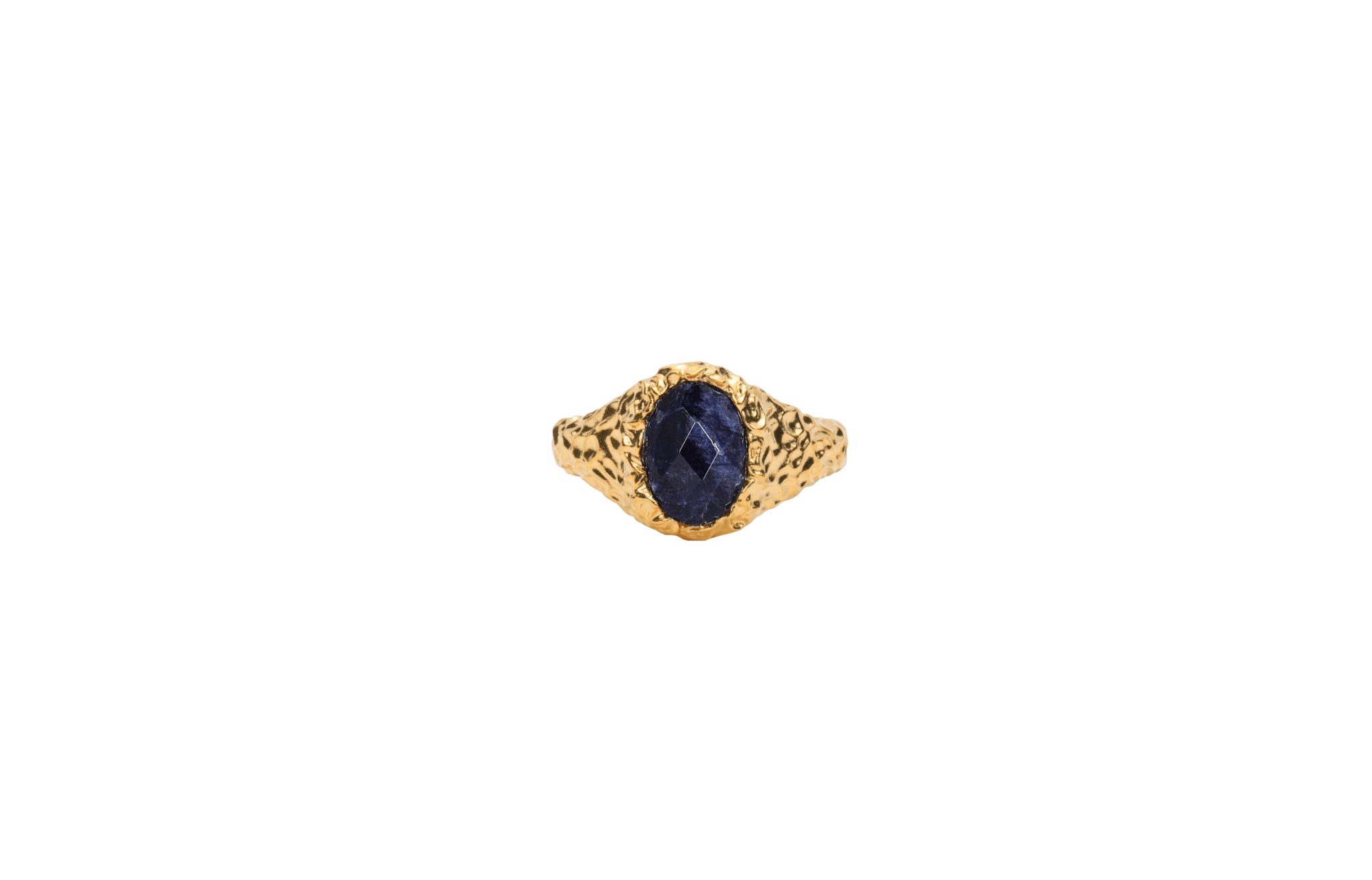 IX Crunchy Ornate Blue Sodalite Signet Ring