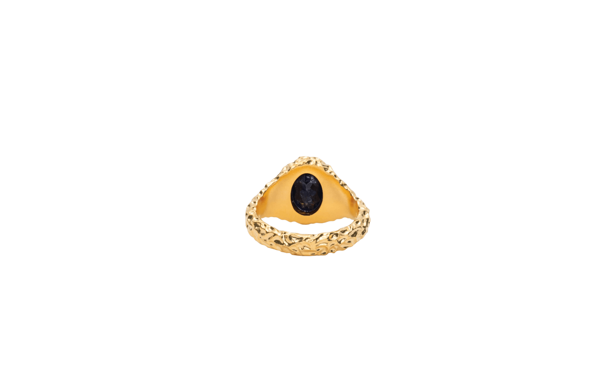 IX Crunchy Ornate Blue Sodalite Signet Ring